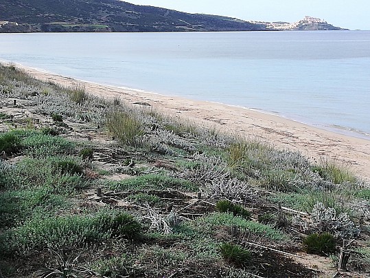 Dune di San Pietro a mare
