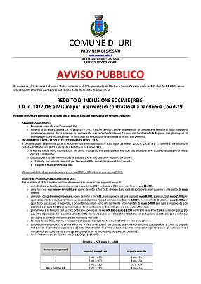 DETERMINA_Num_917__Allegato2_Avviso -REIS - 2021_pages-to-jpg-0001