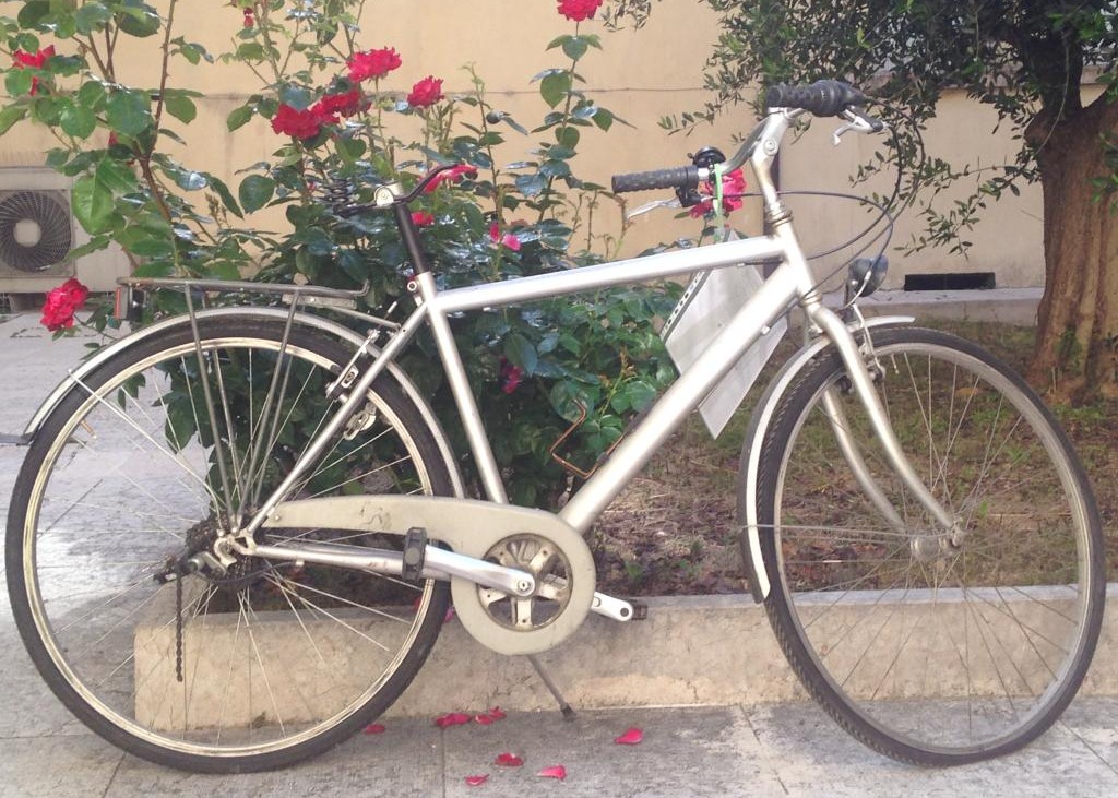 BICICLETTA DA UOMO DI COLORE GRIGIO CHIARO - MODELLO SPORTIVO | Città di  Viadana