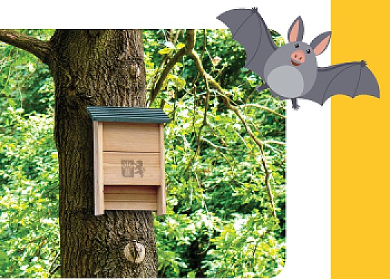 BAT BOX - Collocate le casette per i pipistrelli