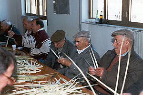 preparazione_palme_300