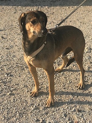 Giacomo