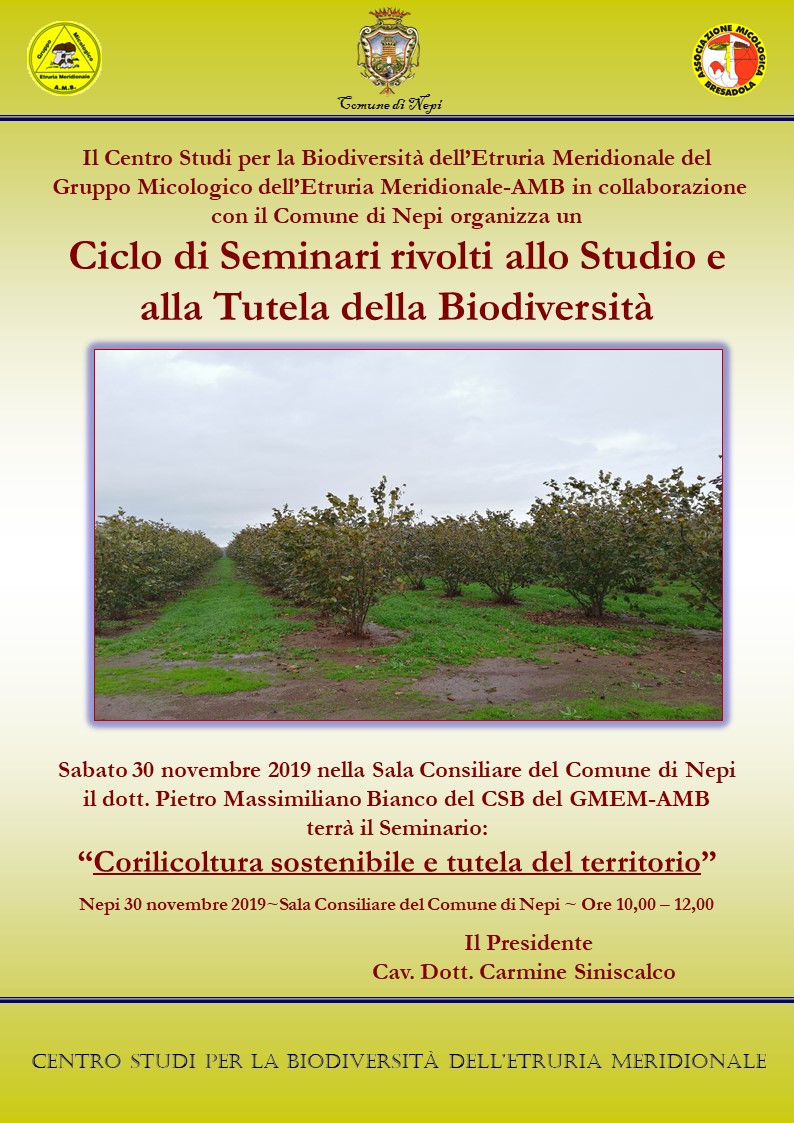 Immagine non trovata