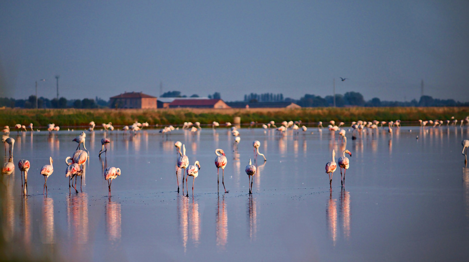 Parco del Delta del Po | Comune di Comacchio