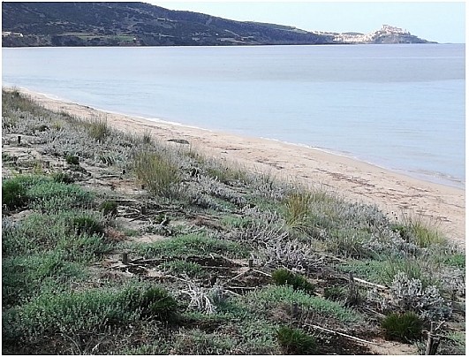 1.1Spiaggia San Pietro