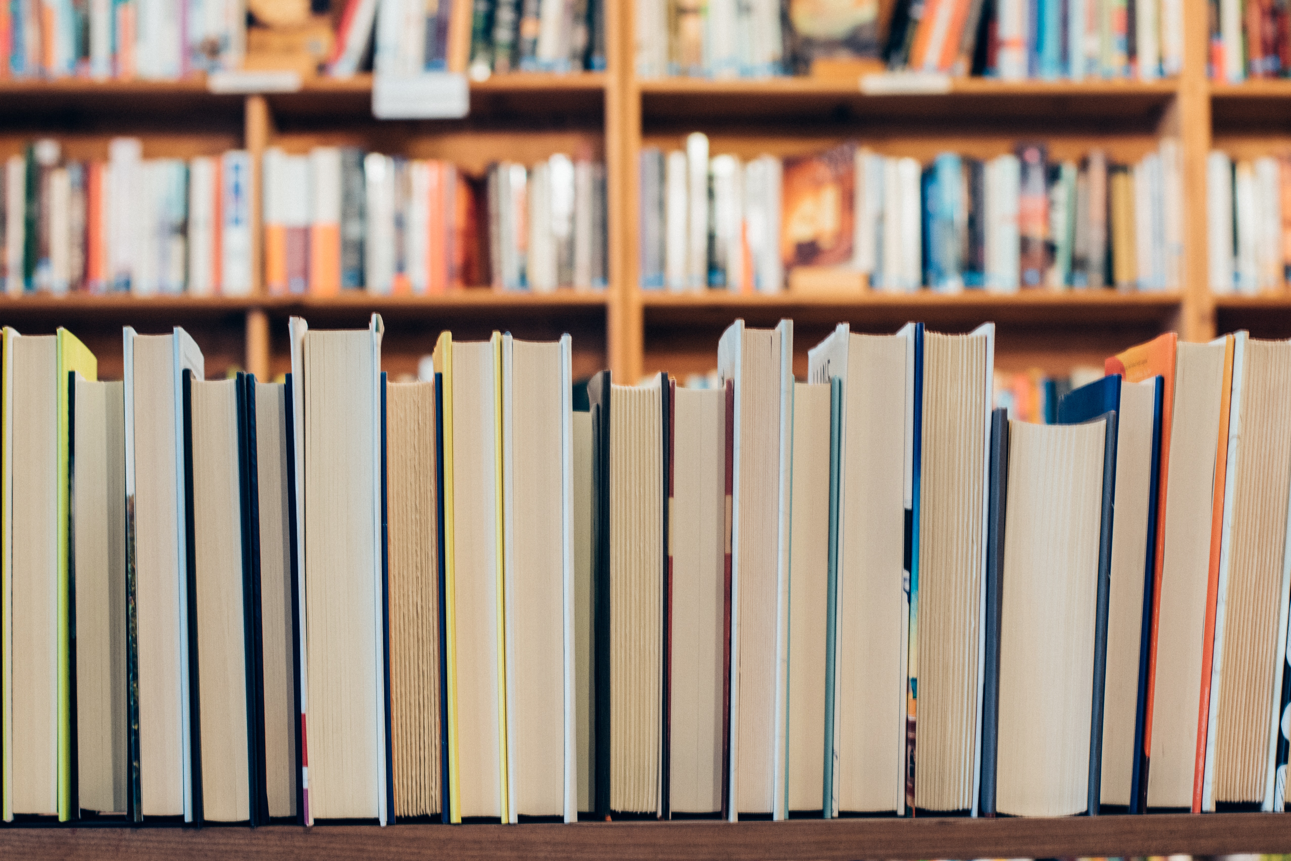 Biblioteca Comunale "Lidia Macchi"