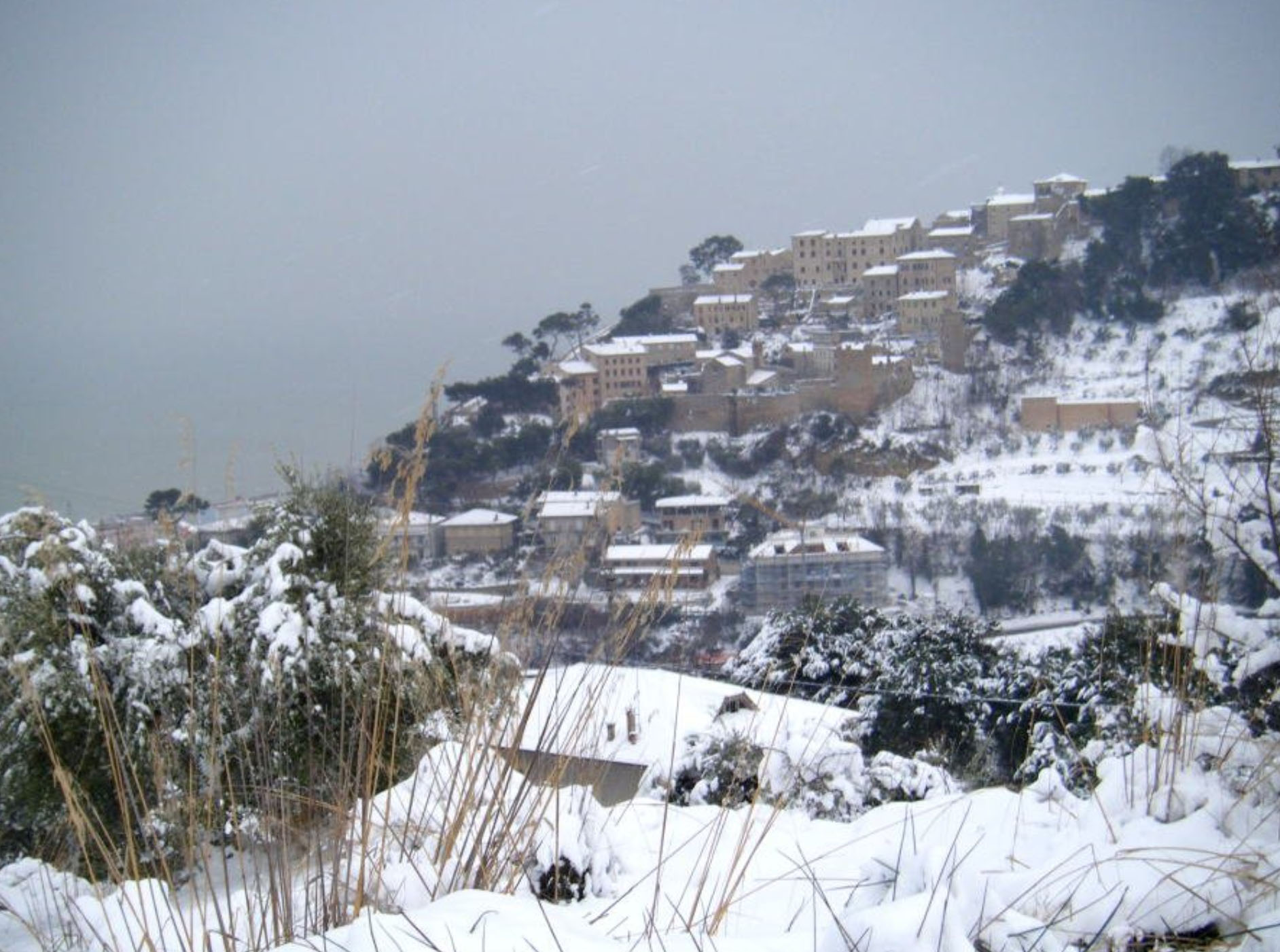 neve