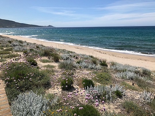 Spiaggia San Pietro
