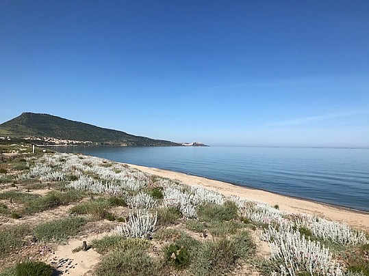 Spiaggia San Pietro1