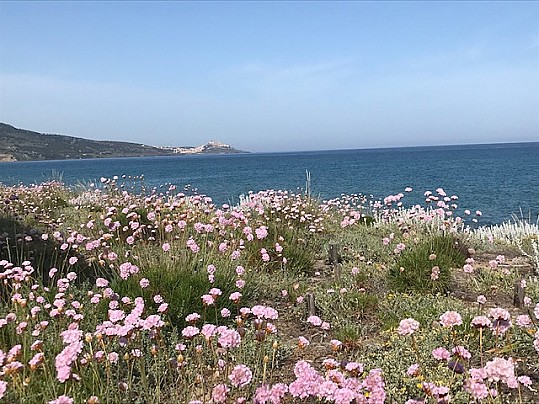 Veduta Spiaggia San Pietro