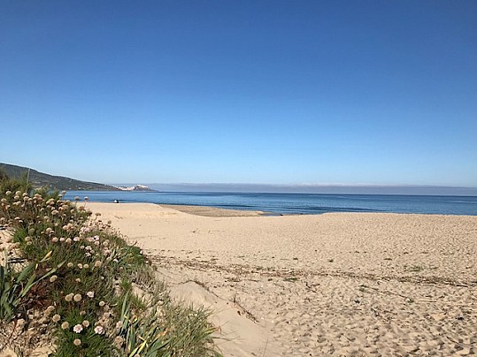 Spiaggia San Pietro 8