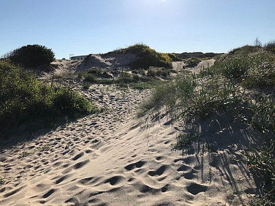 Spiaggia San Pietro Dune