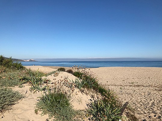 Spiaggia San Pietro 7