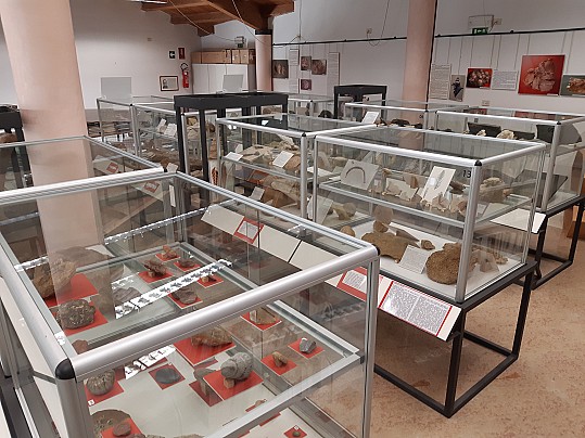 Museo fedrigo 1