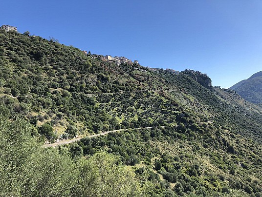 Foto2