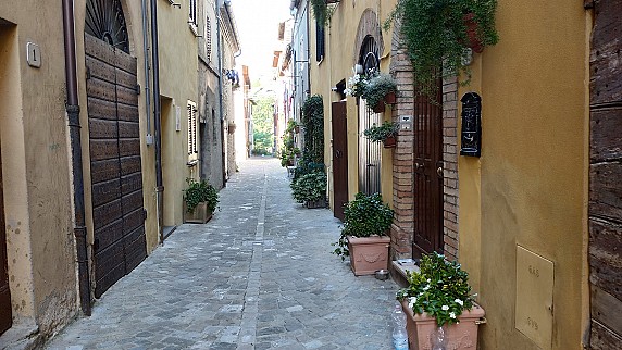 IMG_20200728_175044