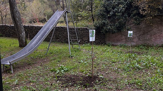 IMG-20201014-WA0001