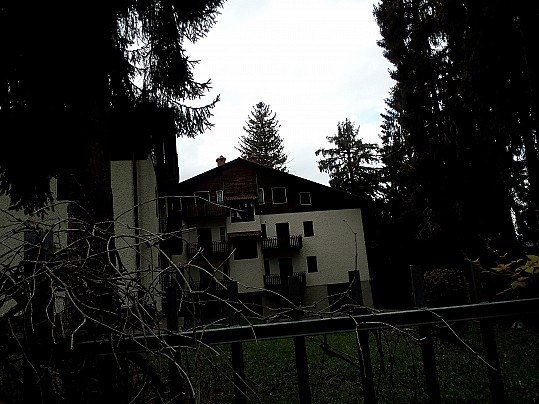 6 La zona dove sorgeva Villa Osio, con gli abeti cresciuti
