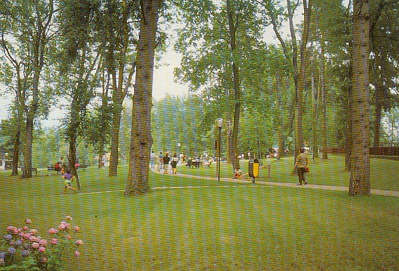 7 Parco Osio