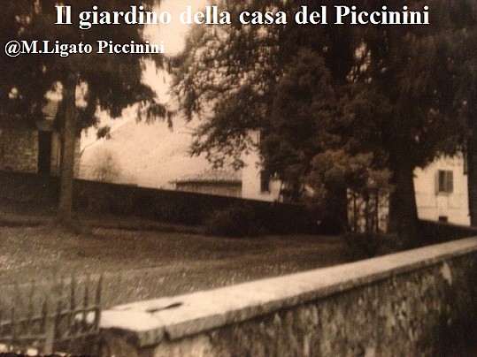 8-Scorcio del giardino antistante casa Piccinini, della famiglia Ligato, Pradalunga