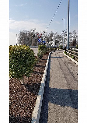 Senza nome 1