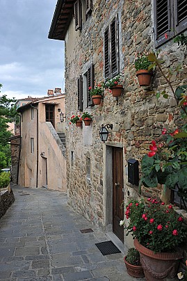 2016 IL BORRO Mauro Amerighi (1)