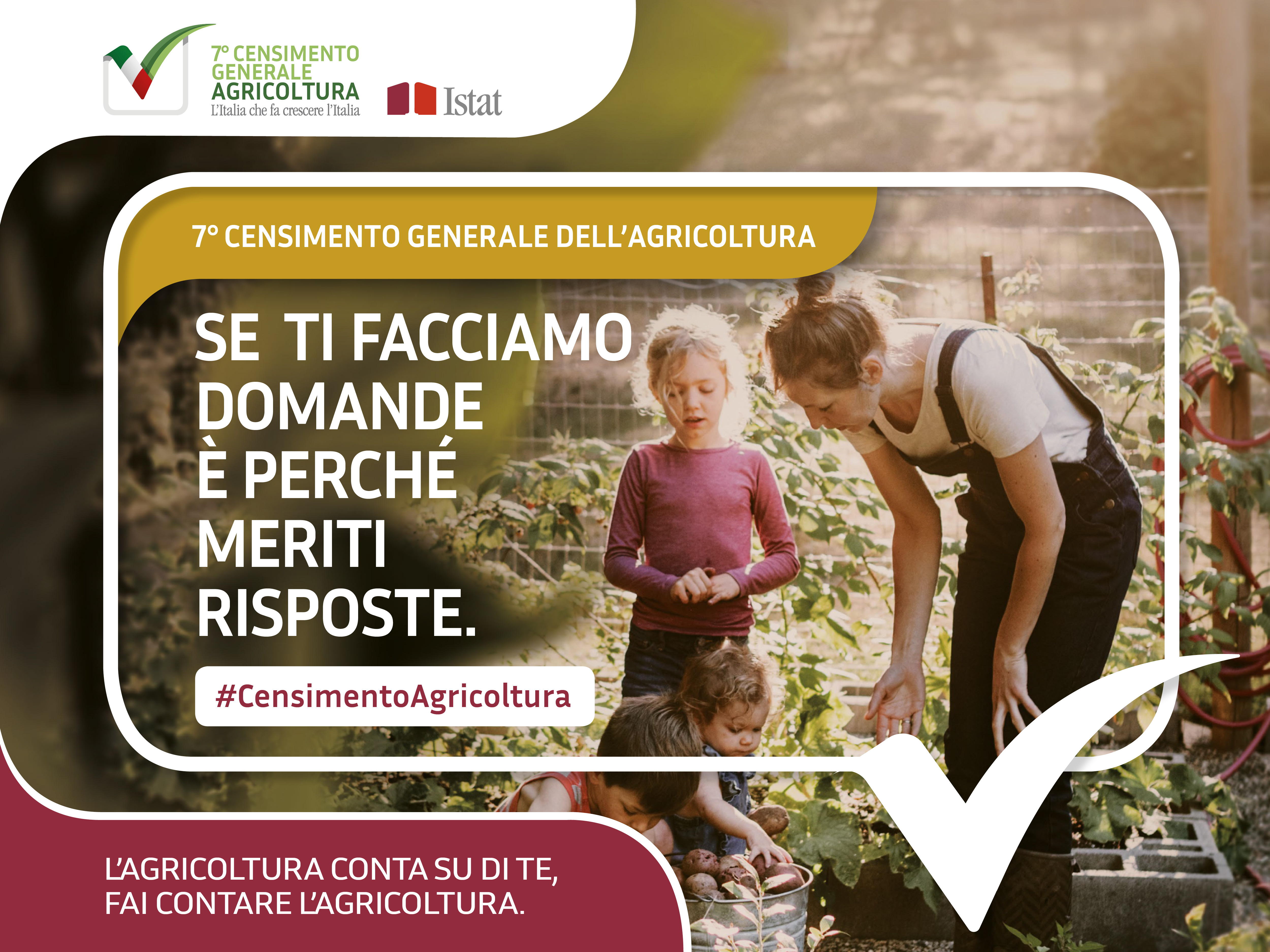 Immagine non trovata