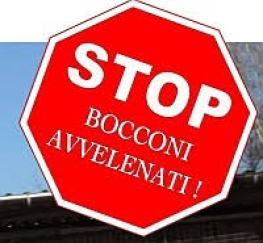 Immagine non trovata