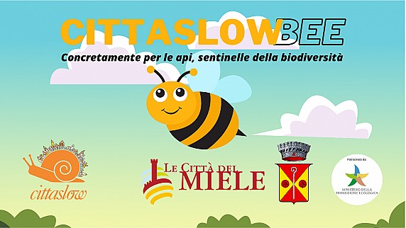 54E87B37-6619-445C-BAA8-B28270B6706F
