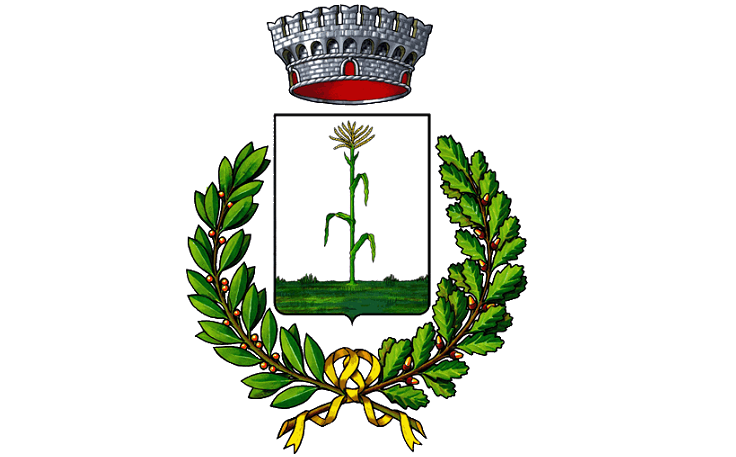 Assistente Sociale