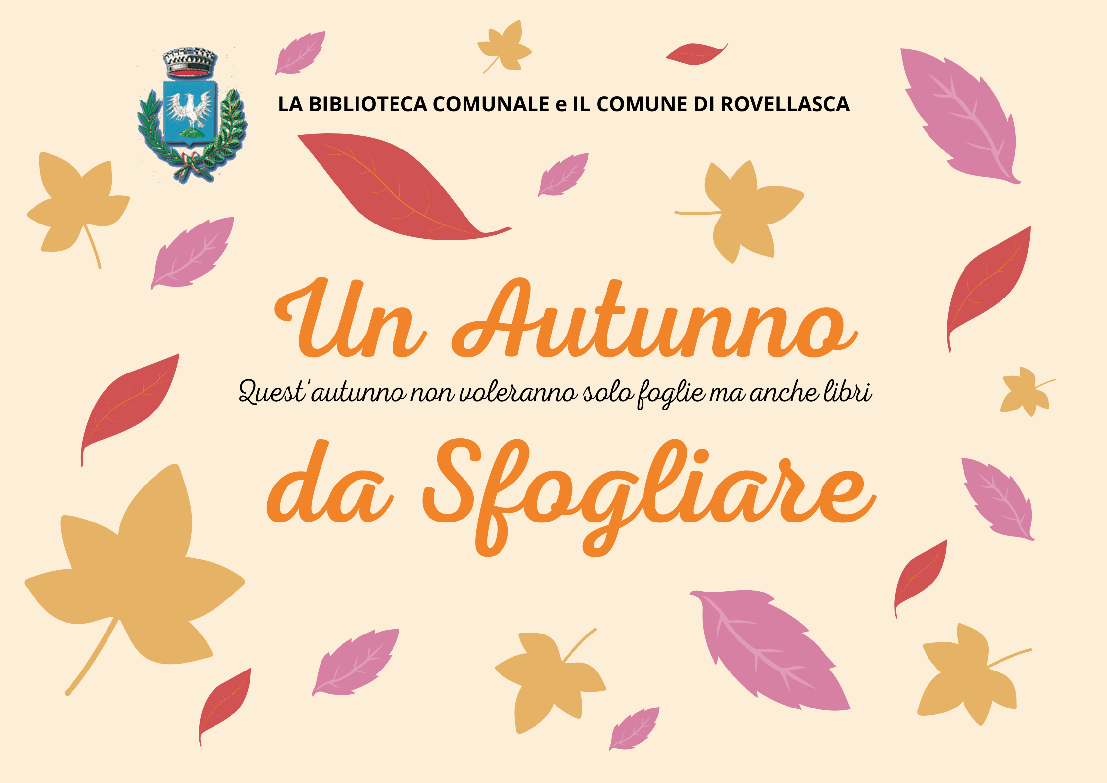 Immagine non trovata