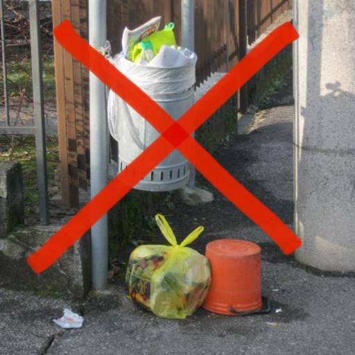 Immagine non trovata